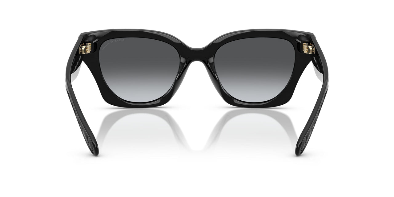 5002T3 - Black - Grey Gradient Polar