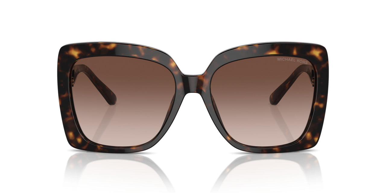 300613 - Tortoise - Brown Gradient