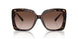 300613 - Tortoise - Brown Gradient