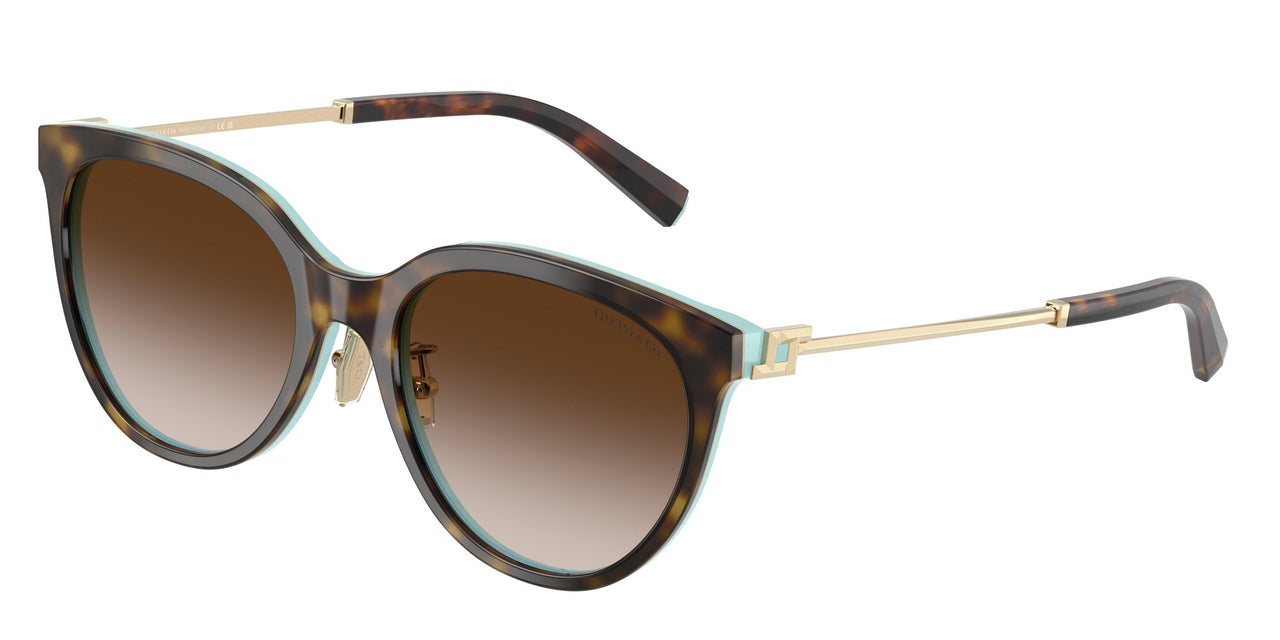 Tiffany 4243D Sunglasses