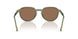 318773 - Green - Dark Brown