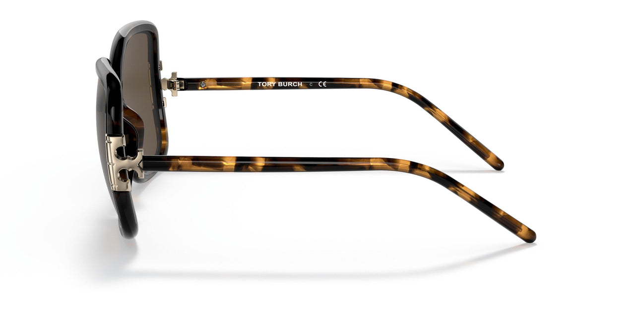 151973 - Havana - Solid Brown