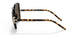 151973 - Havana - Solid Brown