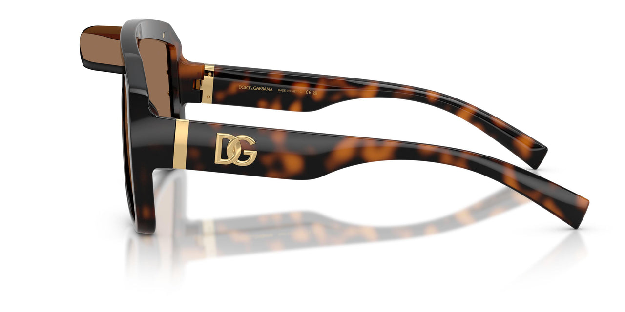 502/73 - Tortoise - Dark Brown