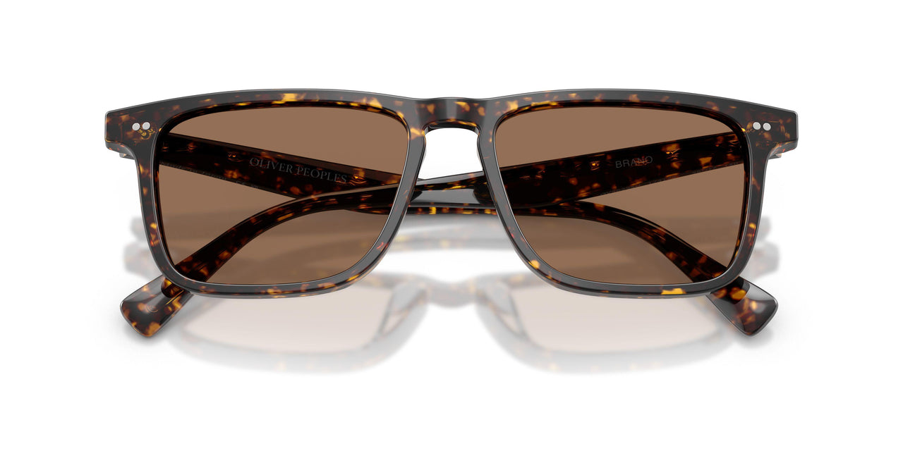 174173 - Tortoise - Brown