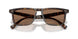 174173 - Tortoise - Brown
