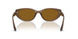 677983 - Brown - Dark Brown - Polar