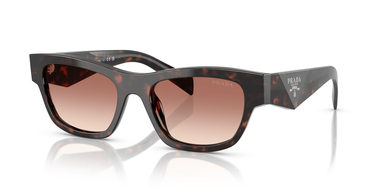 17N50L - Tortoise - Light Brown Gradient Bordeaux
