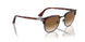 112751 - Havana - Clear Gradient Brown