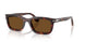 24/57 - Tortoise - Polar Brown