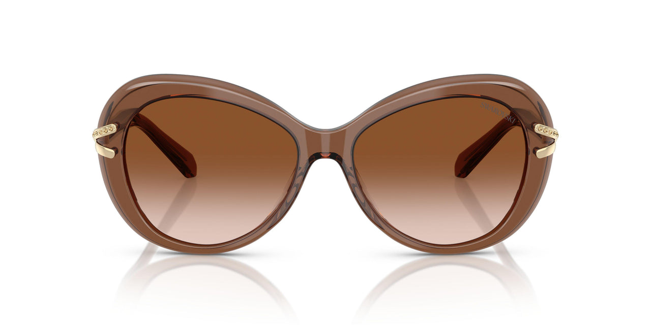 106713 - Brown - Gradient Brown