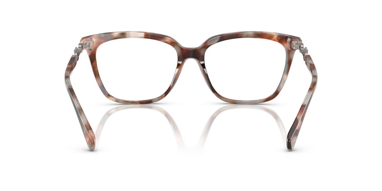 6195 - Tortoise