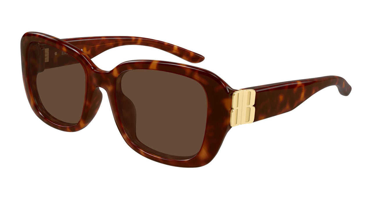 002 - Havana - Brown