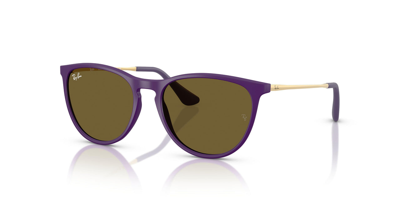 717973 - Violet - Dark Brown