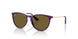 717973 - Violet - Dark Brown