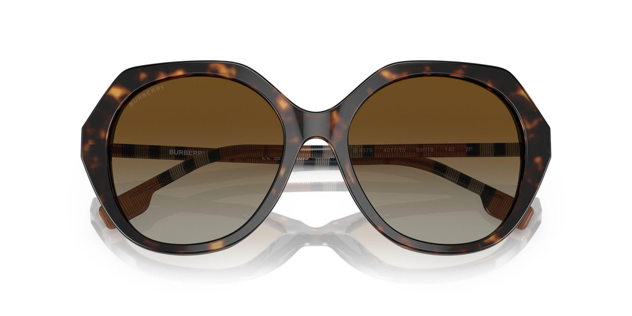 4017T5 - Havana - Sfumato Marrone Polar