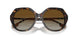 4017T5 - Havana - Sfumato Marrone Polar