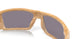 923117 - Beige - Prizm Grey Polar