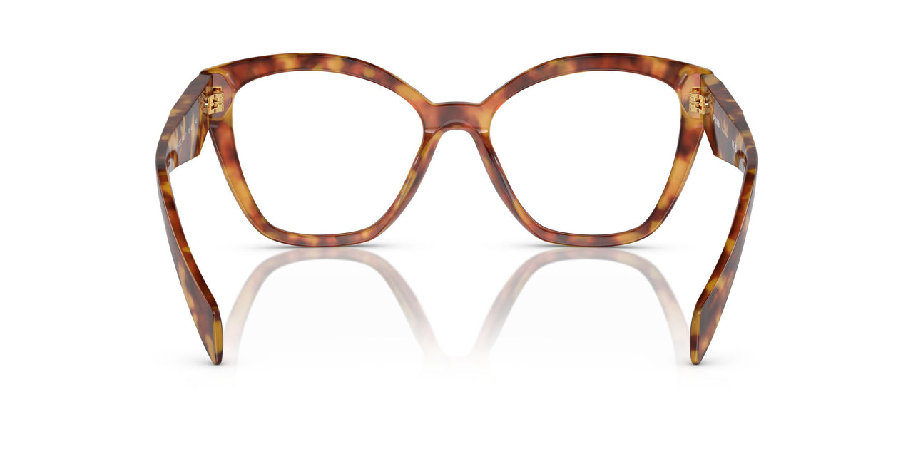 10L1O1 - Brown