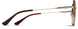 2081103YG57LA - Polarized Brown Gradient