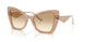 343213 - Brown - Clear Gradient Light Brown