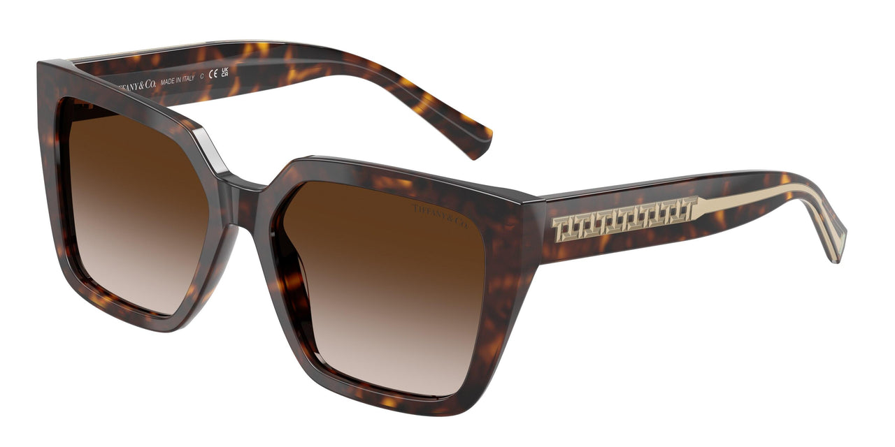 80153B - Tortoise - Brown Gradient