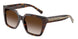 80153B - Tortoise - Brown Gradient