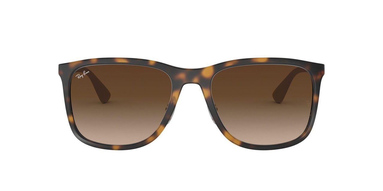 Ray-Ban 4313 Sunglasses