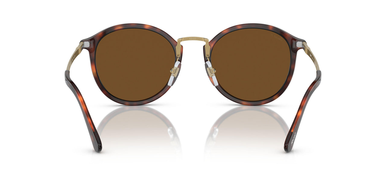 24/57 - Tortoise - Polar Brown