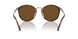 24/57 - Tortoise - Polar Brown