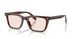 1818 - Brown