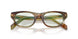 27J20X - Brown - Champagne Flash Bio