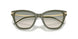 62642C - Green - Brown Gradient Light Green