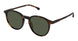 Superflex SFS-2042 Sunglasses