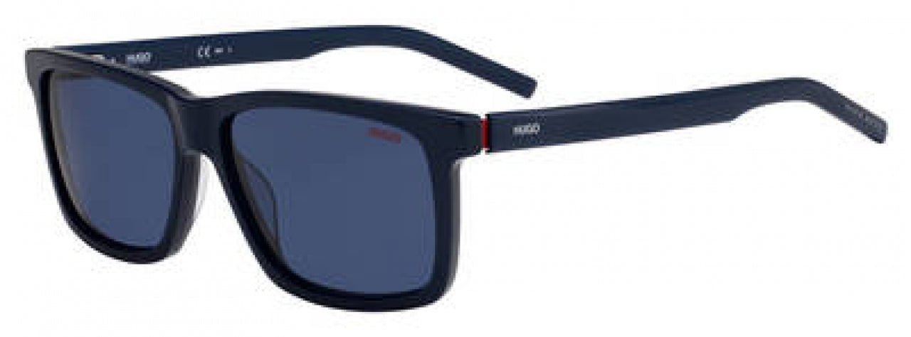 Hugo Hg1013 Sunglasses