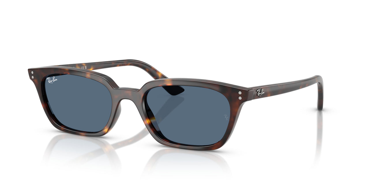 135980 - Tortoise - Dark Blue