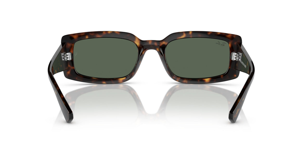 135971 - Tortoise - Dark Blue