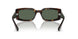 135971 - Tortoise - Dark Blue