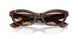 10072 - Tortoise - Green Wash