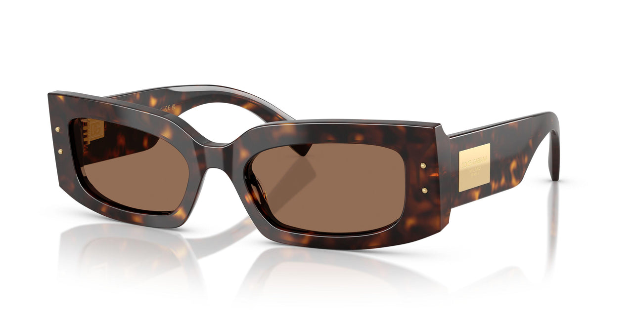 502/73 - Tortoise - Dark Brown