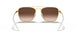 905513 - Brown - Brown Gradient Dark Brown