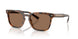 616173 - Tortoise - Solid Brown