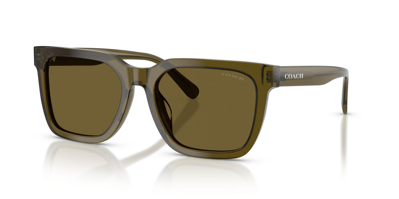 Coach Cfu12 8466U Sunglasses