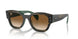 140251 - Green - Clear & Brown