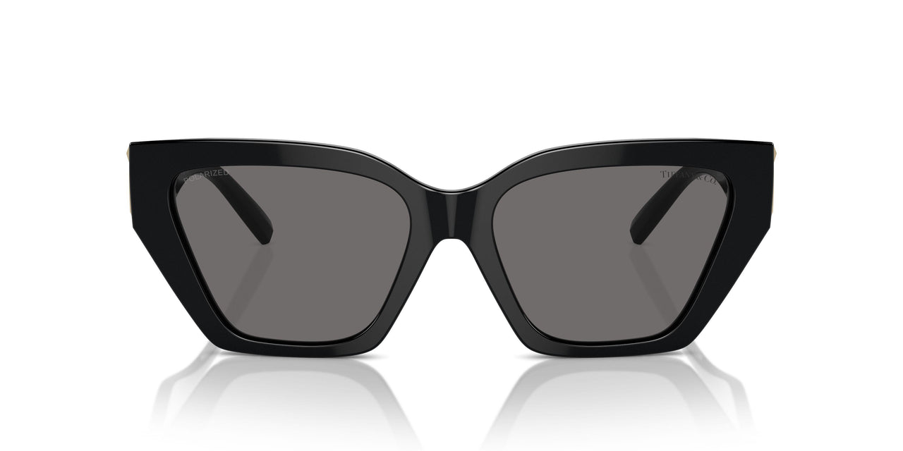 800181 - Black - Dark Grey Polarized