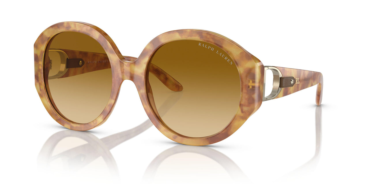 60832L - Tortoise - Gradient Yellow