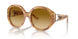 60832L - Tortoise - Gradient Yellow