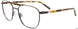 10 - Brown & Tortoise