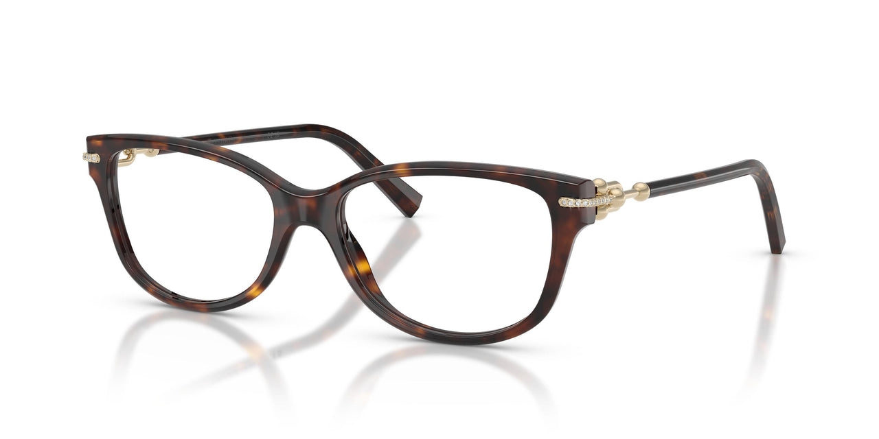 8015 - Tortoise