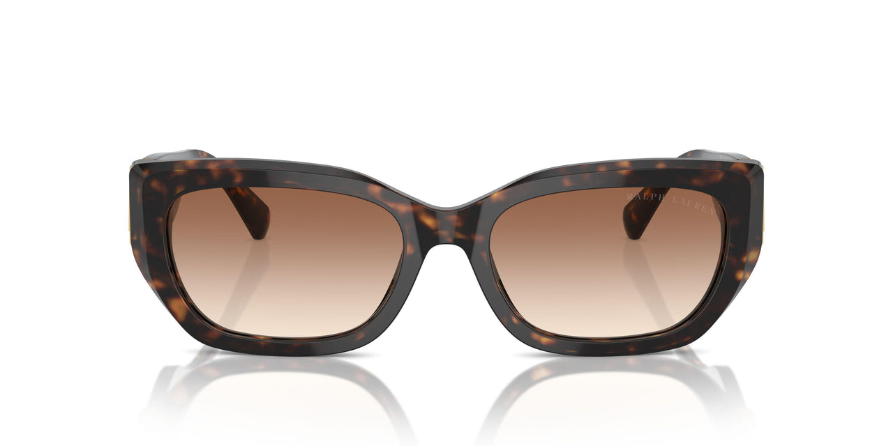 500313 - Brown - Brown Gradient